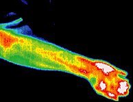 Thermal image of qi energy